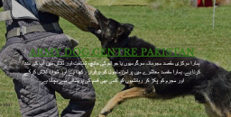 Unveiling the Valor of Army Canines Guardians Trained at the Military Dog Center