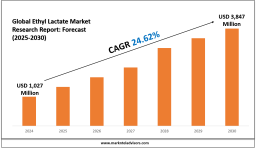 Ethyl Lactate Market Share and Growth Drivers Across Major Regions