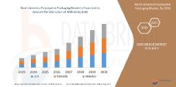 Rising Demand for Sustainable Solutions Drives Growth in North America's Polystyrene Packaging Market