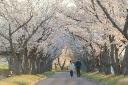 Fluctuations in sexual desire: Understanding changes across the life cycle