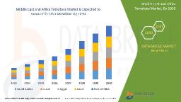 Middle East and Africa Tomatoes Market Grows with Rising Food Processing and Export Trends