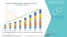 Cell Signaling Market Size, Share & Forecast to 2030: Pathway Analysis & Therapeutic Applications