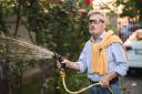 Evolution of the Pressure Washer Market in North America