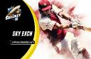 Sky Exch for Beginners: Easy to Use Sky Exchange ID 