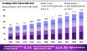 Global demand surges for bespoke hair solutions