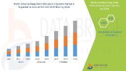 Technological Advancements Propel North America Deep Brain Stimulation Systems Market