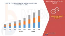 North America Gelcoat Market Expands with Strong Demand from Recreational Marine Industry