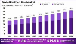 Fortified Rice Market | Growth Statistics and Outlook