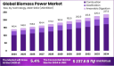 Biomass Power Market Long-Term Growth Potential Explored