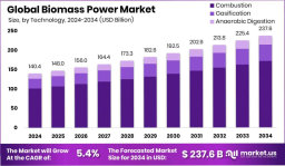 Biomass Power Market Long-Term Growth Potential Explored