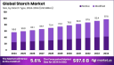 Starch Market Consumption Patterns Across End-Use Industries