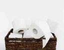 CAGR of 6.9% in Tissue Paper Market: Future Investment Opportunities