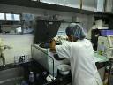Experience Excellence In Diagnostics – Visit the Best Medical Pathology Laboratory, MS Medical Care