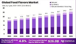 Food Flavors Market Segmentation Analysis | 2025 Outlook
