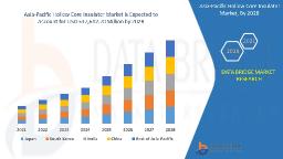 Asia-Pacific Hollow Core Insulator Market Energized by Infrastructure and Power Transmission Growth