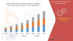 North America Protective Gloves Market Grows on Rising Workplace Safety Standards