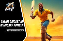 Online Cricket ID WhatsApp Number for Console and PC Games