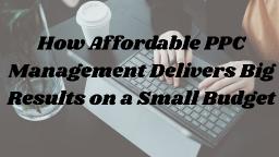 How Affordable PPC Management Delivers Big Results on a Small Budget