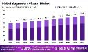 Magnesium Citrate Market Dynamics | Drivers, Restraints & Trends
