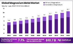 Magnesium Metal Market Future Landscape & Industry Drivers