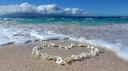 Maui Beach Weddings  Expertly Planned Dream Ceremonies on the Shores of Paradise