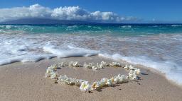 Maui Beach Weddings  Expertly Planned Dream Ceremonies on the Shores of Paradise