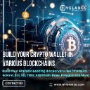 Cryptocurrency Wallet Development : Build Your AI Powered Custodial and Non Custodial Wallets