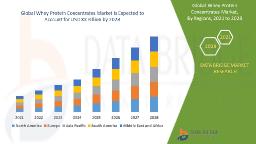 Pure Performance: Innovations in the Whey Protein Concentrates Market
