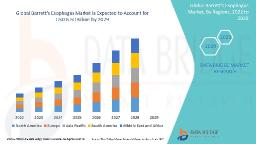 Healing the Esophagus: Barrett’s Esophagus Market Insights