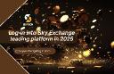 Secure Login for Skyexchange Account Access Safely