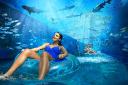 Aquaventure Water Park Fun with Noble Life