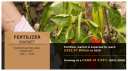 Fertilizer Market Dynamics and Future Prospects, 2030