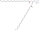 Innovation in Chemistry: Custom Chemical Synthesis for a Better Tomorrow 