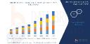 Electric Vehicle Market at a Glance: Size, Growth, and Challenges Ahead