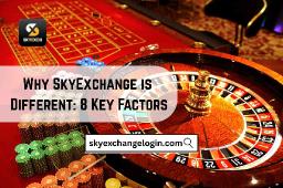 Why SkyExchange is Different: 8 Key Factors