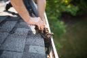 Why Every Homeowner Should Consider Roof Cleaning Services
