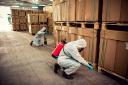Why Businesses Need Commercial Pest Control Services