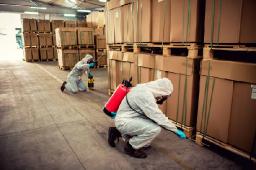Why Businesses Need Commercial Pest Control Services