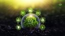 The Role of Carbon Dioxide Removal in Combating Climate Change