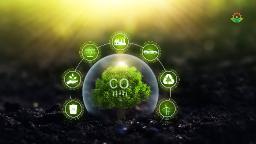 The Role of Carbon Dioxide Removal in Combating Climate Change