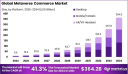 Metaverse Commerce Market size is growing at a CAGR of 41.30%