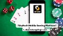 Skyexch Play Free Games With Mobile Friendly App