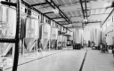 Sustainability on Tap: Brewing Companies Going Green