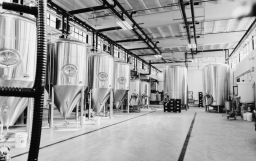 Sustainability on Tap: Brewing Companies Going Green