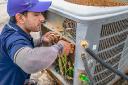 Dryer Vent Cleaning Orlando: Protect Your Home and Improve Efficiency