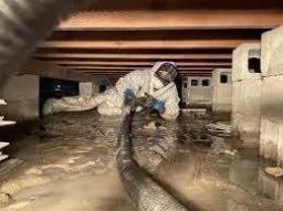 Should You Invest in Crawl Space Cleaning in Tacoma or Olympia?