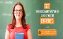 Why Students Turn to Professional Writers for Assignments