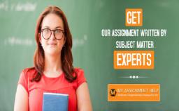 Why Students Turn to Professional Writers for Assignments