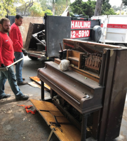 Too Much Junk? Here’s Why It’s Time to Clear It Out!