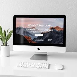 Comprehensive Guide to White Label Website Development